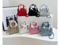 women-handbag-small-0