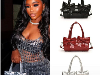 classy-luxury-fashion-bag