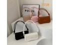 ladies-miss-mini-handbagwhiteblackpinkbrownbiegewhite-small-0