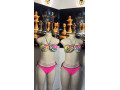 women-premium-intimate-set-new-with-tags-unworn-excellent-condition-small-0